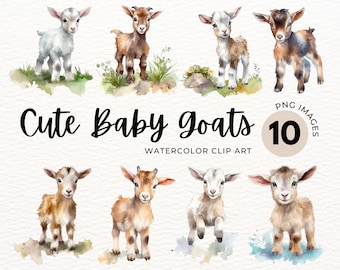 Watercolor Baby Goat Clipart: Farm Animal PNGs, Nursery Art (Commercial License)