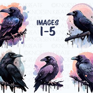 Crow and raven clipart, Gothic bird graphics, Witchy crow and raven designs,