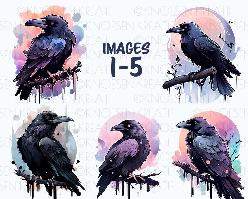Crow and raven clipart, Gothic bird graphics, Witchy crow and raven designs,