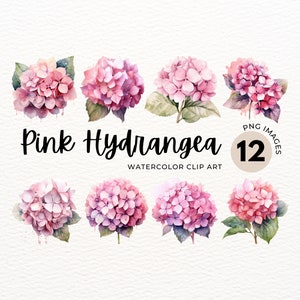 Clipart de Hortênsia Rosa | Buquê de Hortênsia PNG | PNG Floral | Flores Rosa Aquarela | Clipart de Flor | Arte Botânica | Licença Comercial