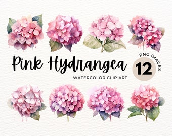 Clipart de acuarela de hortensia rosa: ramo floral PNG (licencia comercial)