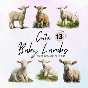 Clipart baby lam | Lam, png PNGEgg | Babydieren | Boerderijdieren, png PNGEgg | Babyschaapjes | Muurkunst kinderkamer | Schattige dieren Clipart