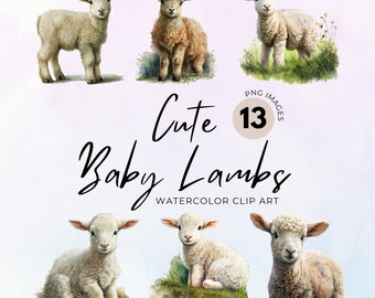 Baby Lamb Watercolor Clipart: 13 PNG Nursery Art (Digital Download)