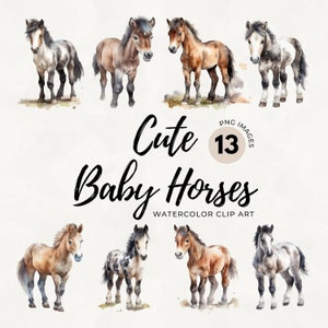 Baby Horse PNG | Horse Clipart | Watercolor Horse | Baby Animals | Western Clipart | Farm Animals PNG | Cute Horses Images