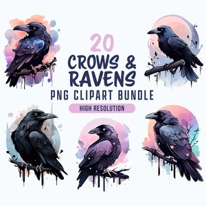 Crow and raven clipart, Gothic bird graphics, Witchy crow and raven designs,