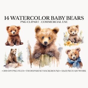 Baby Bear Clipart | Watercolor Clipart Bear | Woodland Animals | Cute Forest Animals | Baby Bear PNG | Baby Animals Print