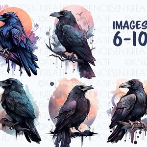Sublimation crow and raven, Mystical bird illustrations