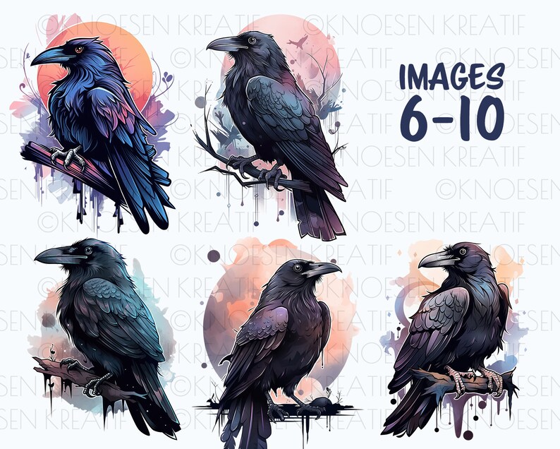 Sublimation crow and raven, Mystical bird illustrations