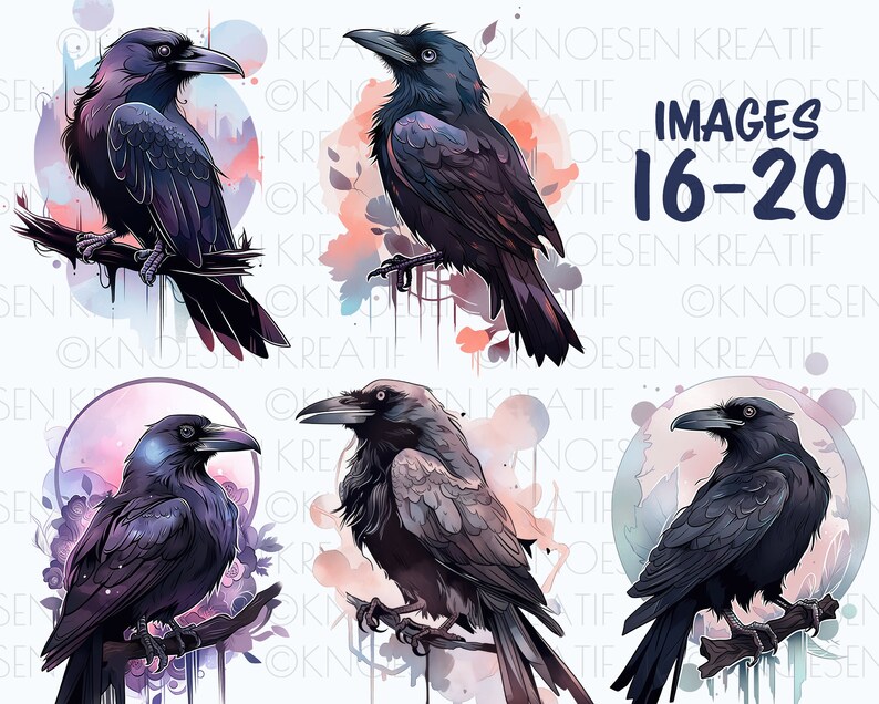Sublimation crow and raven, Mystical bird illustrations