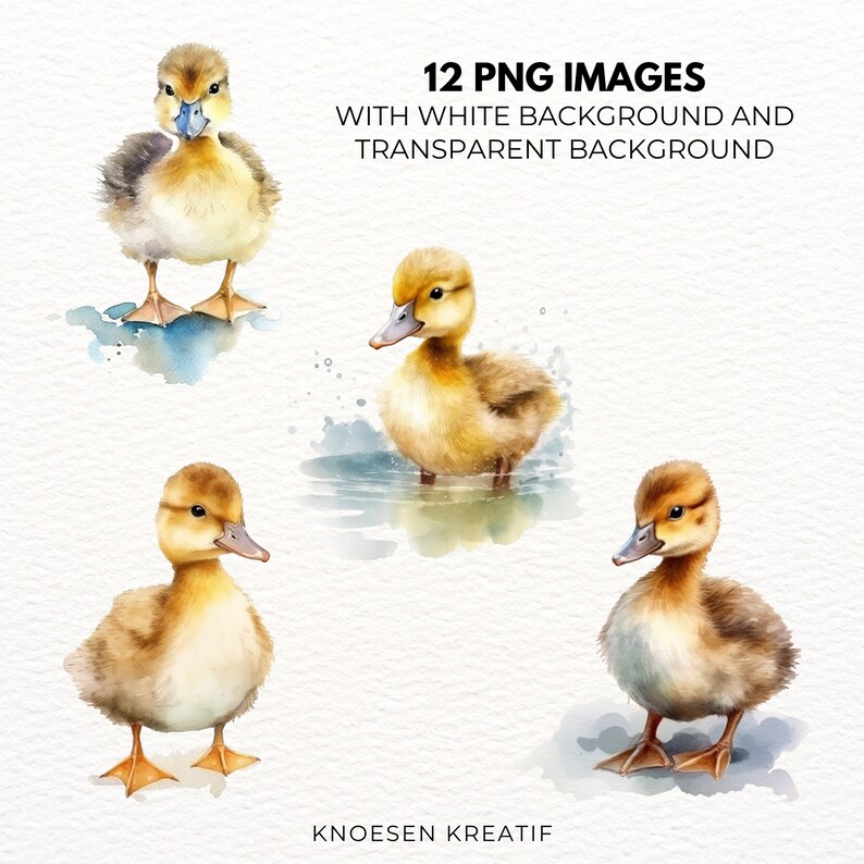 May include: Four watercolor illustrations of ducklings. Two ducklings are standing on a white background, and two ducklings are swimming in a blue pool of water. The ducklings are yellow and brown with black eyes and beaks.