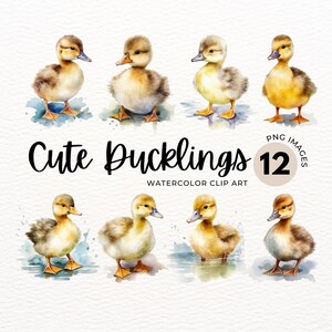 May include: Twelve watercolor illustrations of cute ducklings in various poses. The ducklings are yellow and brown with black eyes and beaks. The illustrations are set against a white background with watercolor splatters.