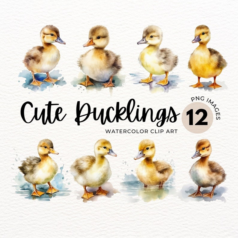 May include: Twelve watercolor illustrations of cute ducklings in various poses. The ducklings are yellow and brown with black eyes and beaks. The illustrations are set against a white background with watercolor splatters.