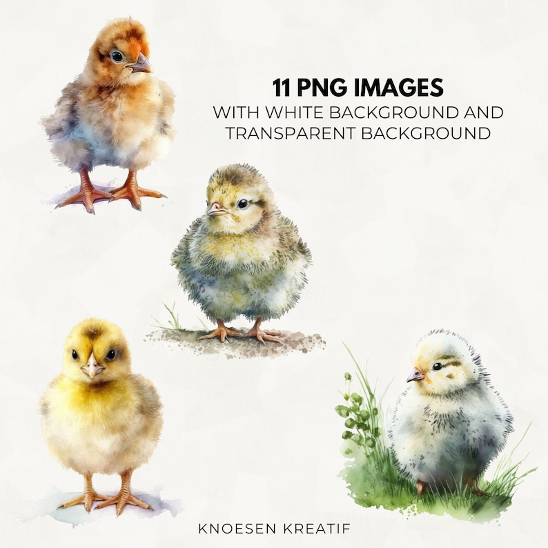 Watercolor Baby Chicken Clipart: Farm Animal PNG Set (digital Download ...