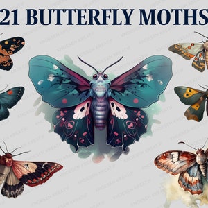 Aquarell Motte Clipart | Sphinx Motte | Aquarell Schmetterling PNG | Insekten Clipart | Junk Journal | Digitaler Planer | Sofort Download