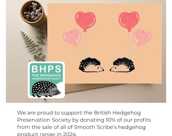 Hedgehog Birthday/ Anniversary / Engagement Greeting Card (supporting the British Hedgehog Preservation Society)