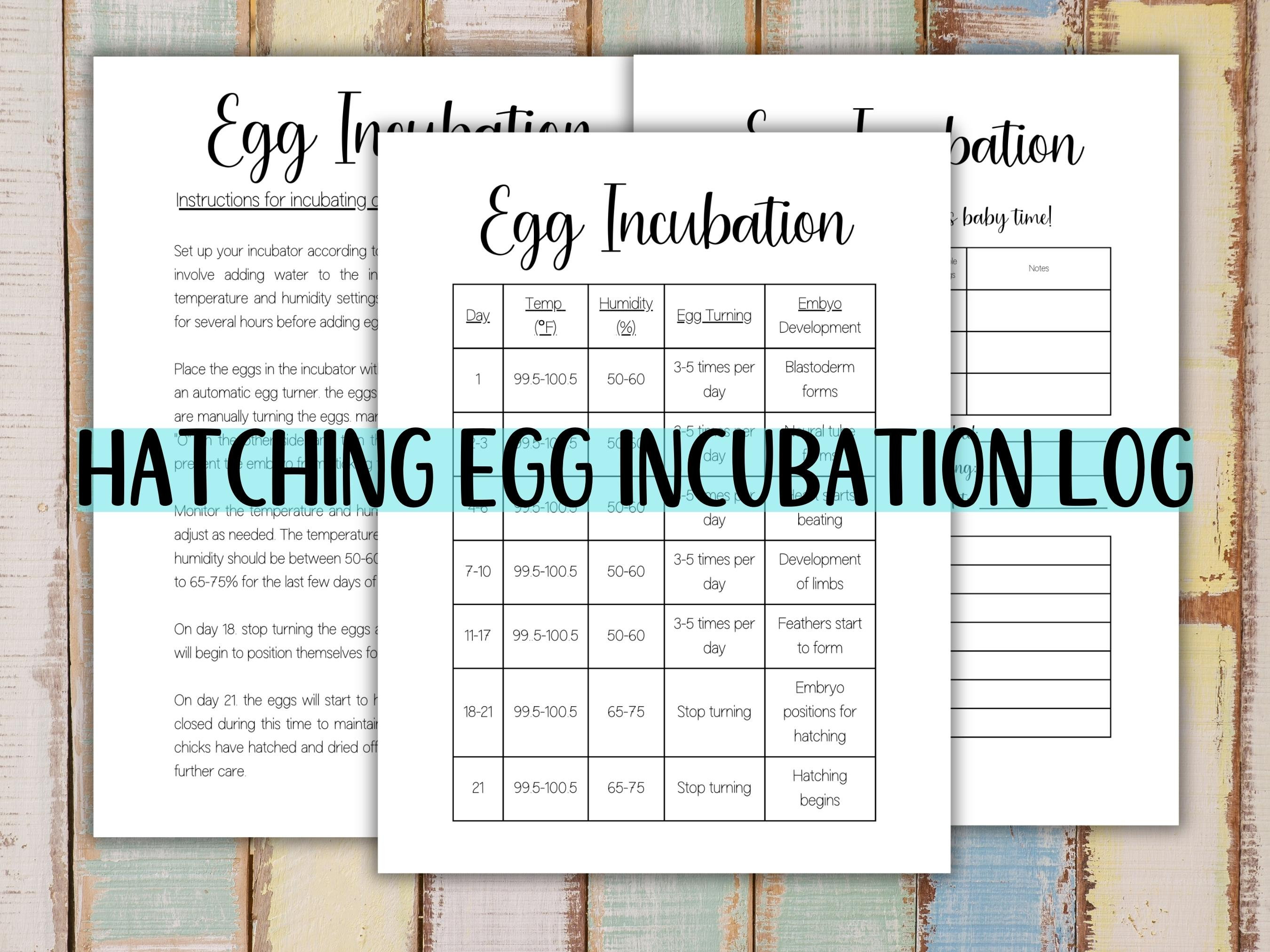 Printable Chicken Egg Incubation Calendar, Incubation Log, Incubation