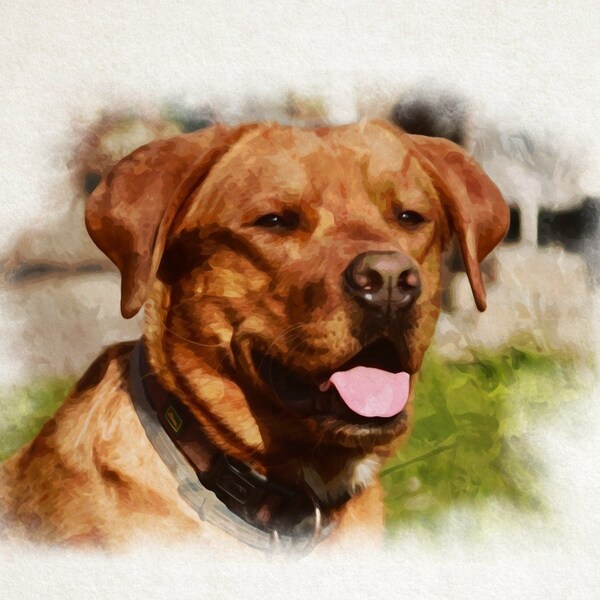 Tierportrait Hund personalisiert im Stil von Ölfarbe, Wasserfarben oder Acryl. Perfekt als Geschenk oder Erinnerung.