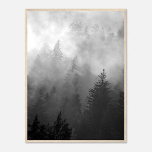 Cloudy forest dreamy atmospheric - beautiful photo as a poster with wooden frame or unframed - Christmas gift - wall picture living room office