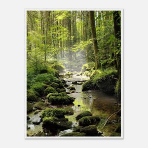 Monbachtal Wald Bach Licht Schwarzwald Deutschland - schönes Foto als Poster mit Holzrahmen oder Ungerahmt - Geschenk Weihnachten - Wandbild