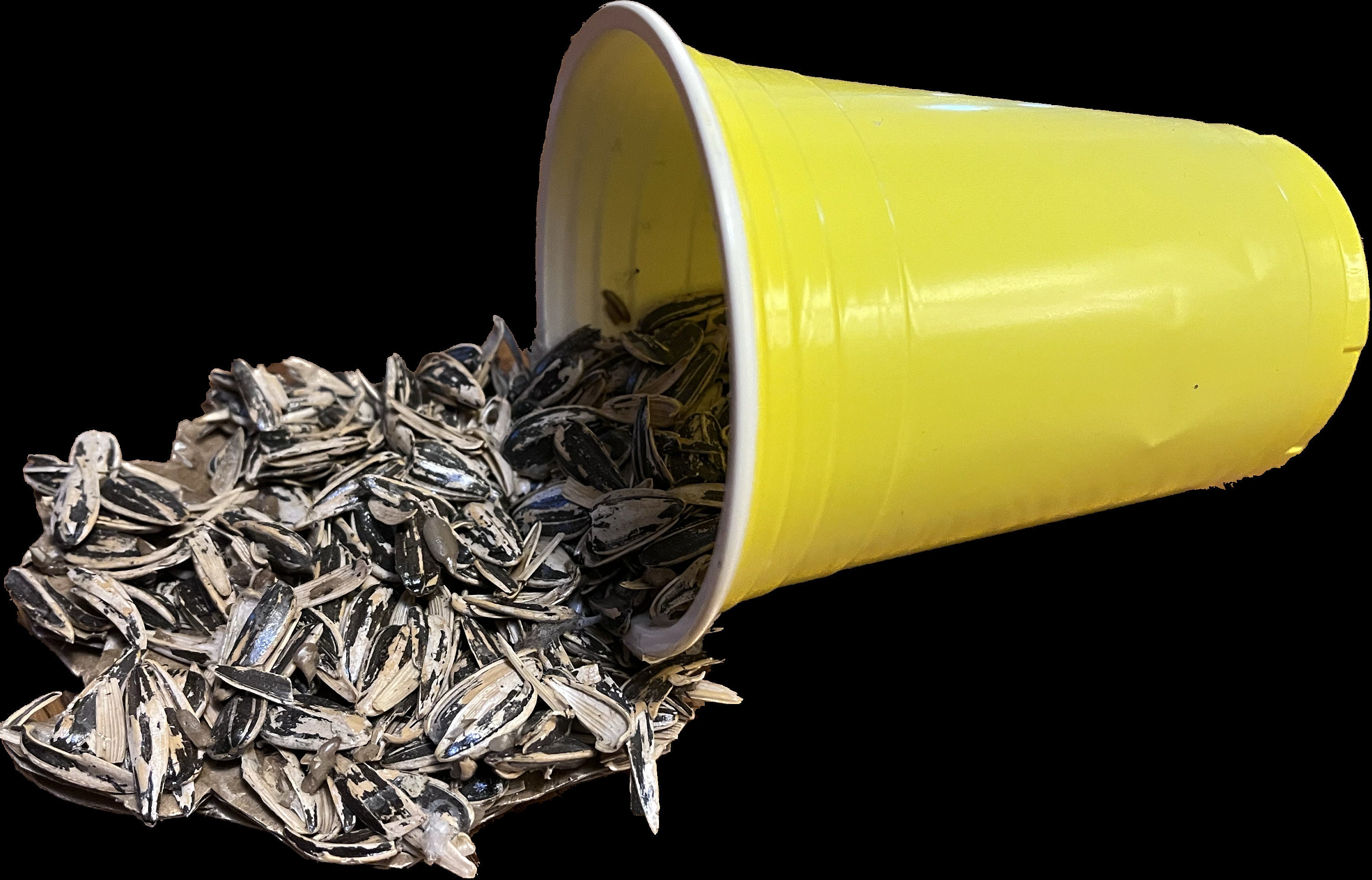 Proseed® Sunflower Seed Spit Cup Has Seed Storage & Shell Disposal in