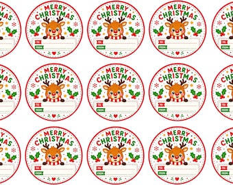 Christmas Present Labels Santa/Present/Reindeer Gift Sticker for Kids, Friends, Family
