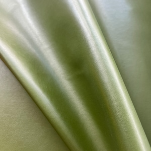 Veganistisch cactusleer van desserto / cactusleer groen