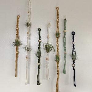 Macrame air plant holder set/ Macramé plant hanger/ Air plants/ Boho plant holder/ Plant gift/ Fall decor/ Gift for her/ Teacher gift/ Home