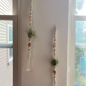 Macrame air plant holder set/ Macramé plant hanger/ Air plants/ Boho plant holder/ Plant gift/ Fall decor/ Gift for her/ Teacher gift/ Home