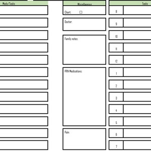 May include: A printable daily log sheet with sections for medications, tasks, and miscellaneous notes. The sheet is divided into 12 hourly sections, with space for writing in each section.