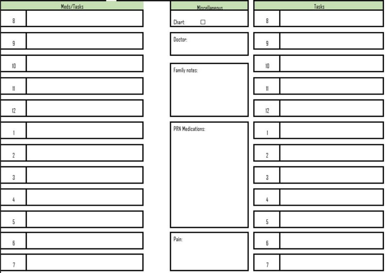 May include: A printable daily log sheet with sections for medications, tasks, and miscellaneous notes. The sheet is divided into 12 hourly sections, with space for writing in each section.