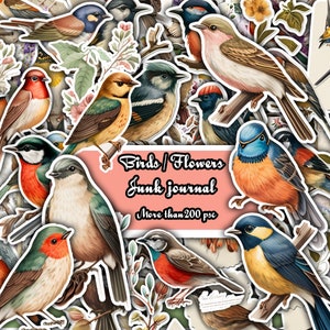 Vintage fussy cut birds flowers , junk journal ephemera, birds stickers ,  digital printable , collage , bird stickers , floral stickers