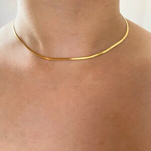May include: A thin gold chain necklace, worn as a choker.