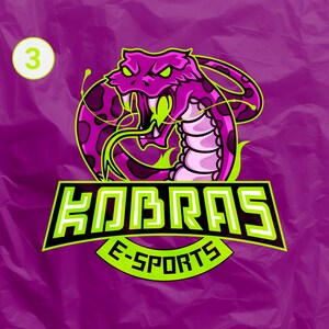 I Will Design Custom Gaming Logo for Your Streams e-sport image 3