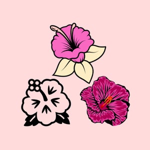 Hibiscus Svg, Hibiscus Clip Art, Hawaiian Flower Svg, Hibiscus Flower Svg, Flower png
