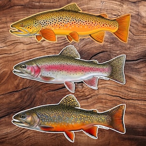 Brown Trout,  Brook Trout, Rainbow Trout Fly Fishing Vinyl Die Cut Sticker Waterproof Decal Simms Orvis