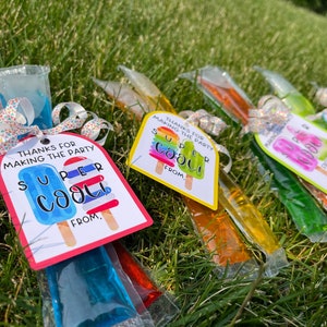 Ice Pop Party Favor I Party Favor I Summer Party Favor