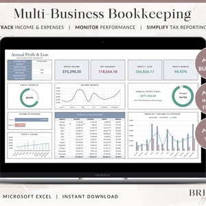 Multi-Business Bookkeeping Spreadsheet Income & Expense Tracker Tax Reporting Excel Template for Profit and Loss