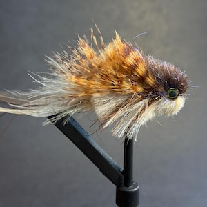 BANG TAIL STREAMER - Pequeño - Bronceado/Marrón
