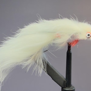 May include: A white fishing fly lure featuring long, wispy feathers, a prominent round eye with a black pupil, and a small patch of bright red fibers near the base, all secured to a dark metal hook shank for use in fly fishing activities.