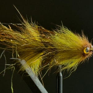 Swim Coach - Braun Gelb