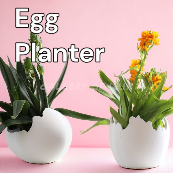 Egg Planter, Flower Pot Vase, House Plant Succulent Bowl, Chicken Dinosaur Storage Bin, Bird Sculpture, Home Garden Office Decoration, Gift