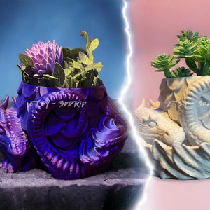 Sleeping Dragon Planter | Medieval Vase | Goth Flower Pot, Drainage Holes, Cottagecore, Beautiful Cacti Succulent Bowl, Middle Ages, Lizard