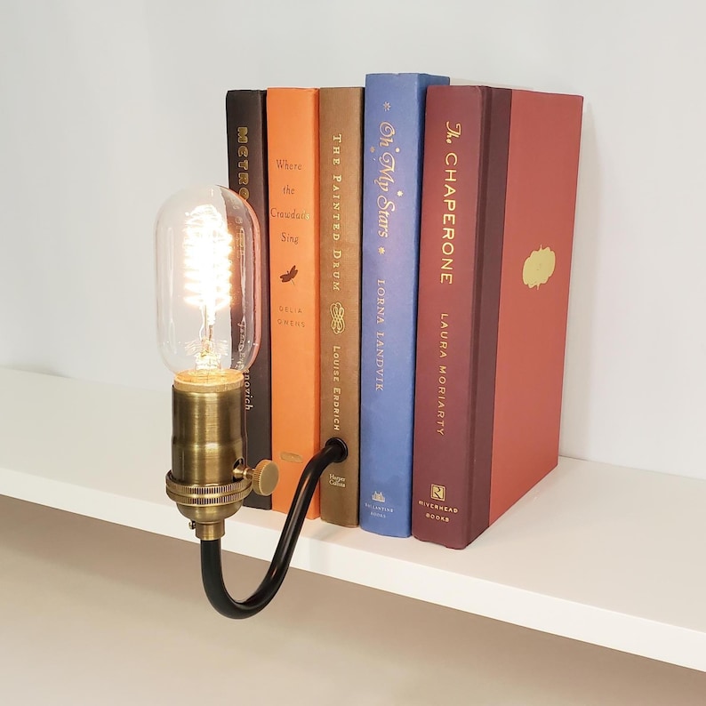 Bookshelf Lamp. Bookcase Decor. Reader Gift. Book Lover. Louise Erdrich ...
