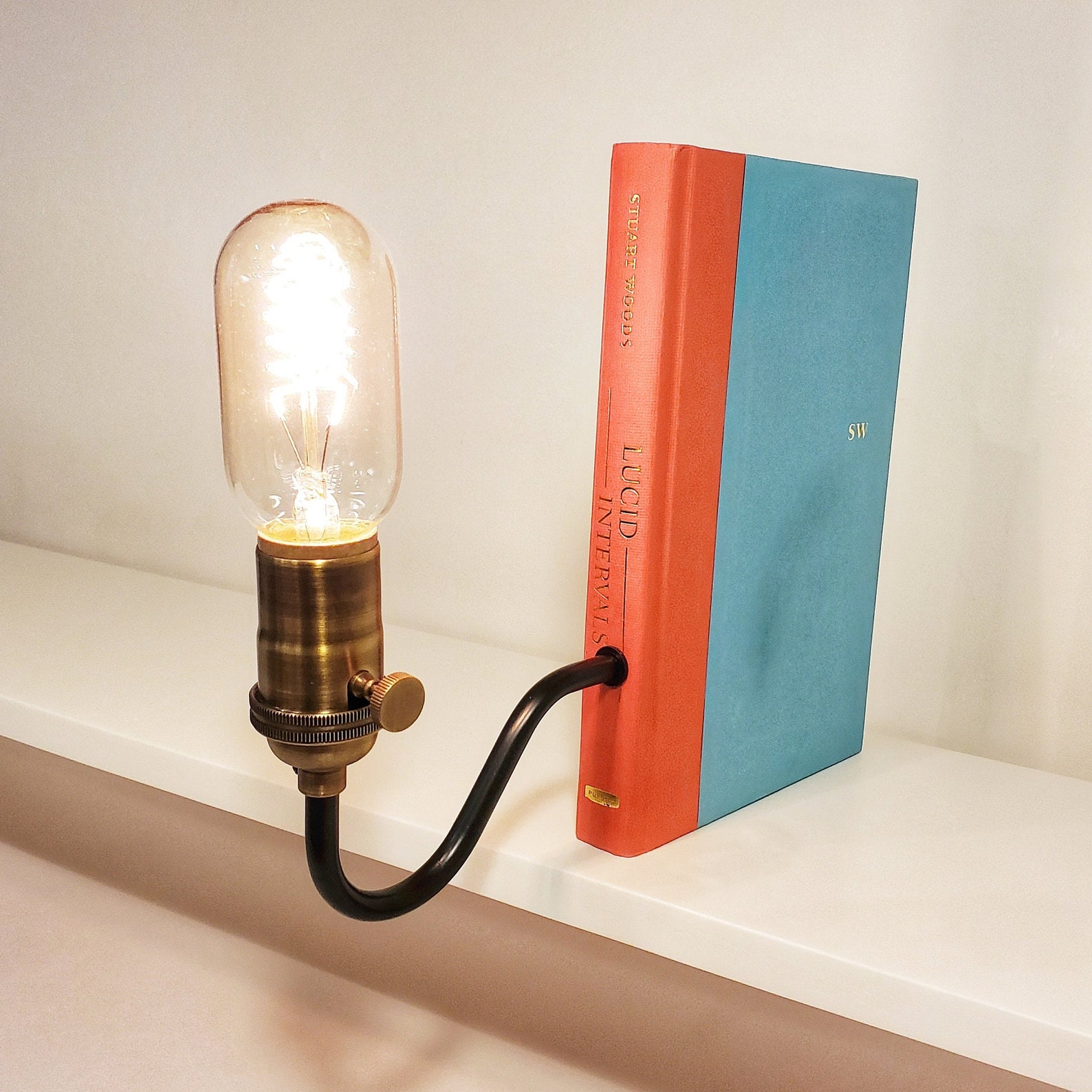 Bookshelf Lamp. Bookcase Light. Ideal for Book Lovers. Bookcase