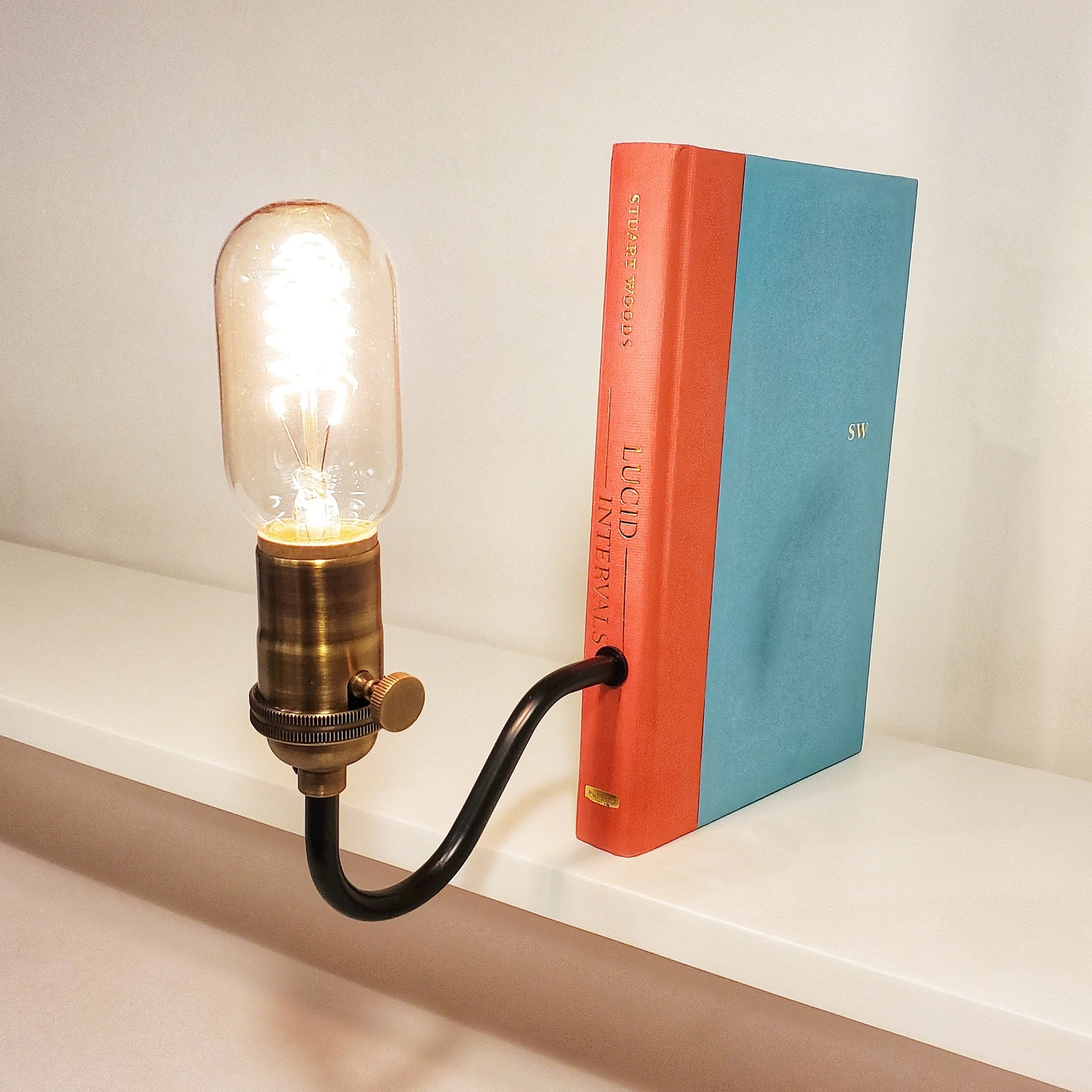 Bookshelf Lamp. Bookcase Light. Ideal for Book Lovers. Etsy