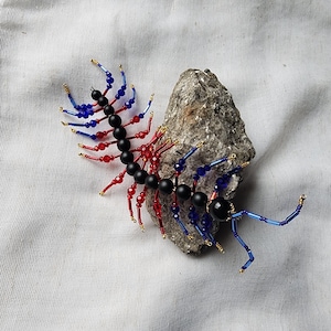 centipede