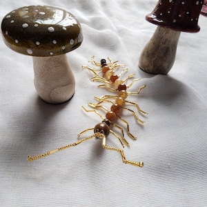 centipede