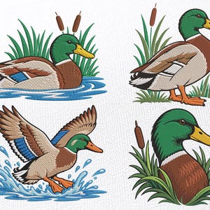 May include: Four embroidered mallard duck designs featuring a swimming duck, a standing duck, a duck taking flight from water with splashes, and a duck head nestled in green reeds. Each duck has a green head, yellow beak, and brown body.