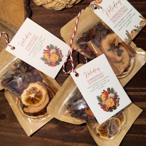 May include: Three clear pouches filled with dried holiday simmering potpourri, including orange slices, cinnamon sticks, and star anise. Each pouch features a white tag with the text Holiday Simmering Potpourri and red and white twine.