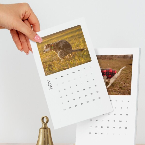 Funny Desk Calendar 2025 Etsy UK
